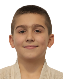 Стефан Секулић