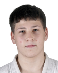 Михајло Вучићевић