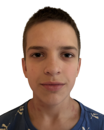 Вук Арсенијевић