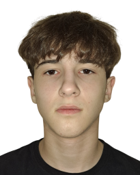 Нестор Андрић