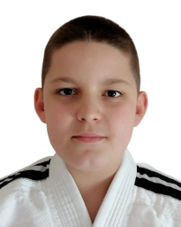 Виктор Николић