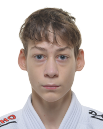 Стојан Николић