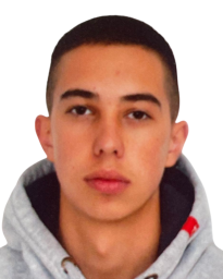 Миљан Шулејић Миљан Шулејић