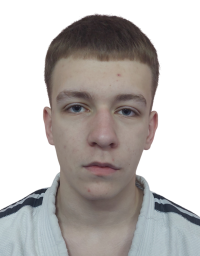 Илија Трајковић