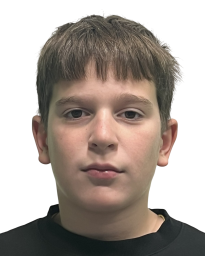 Александар Стојиљковић