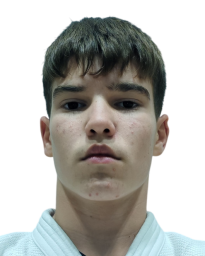 Василије Рибић