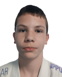 Вељко Илић Вељко Илић