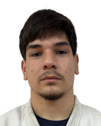 Алекса Гатарић