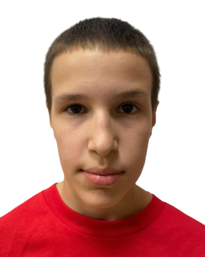 Алекса Живић