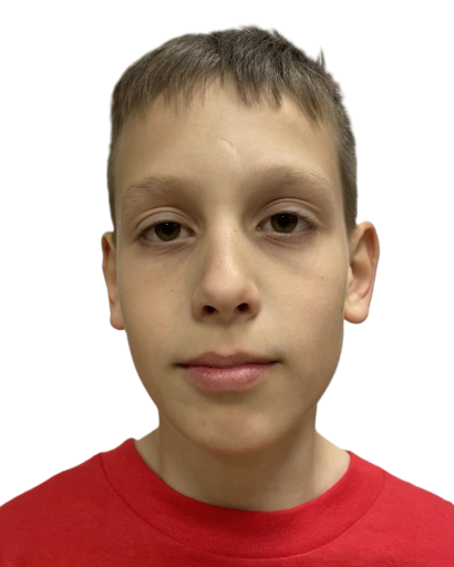 Михајло Верић