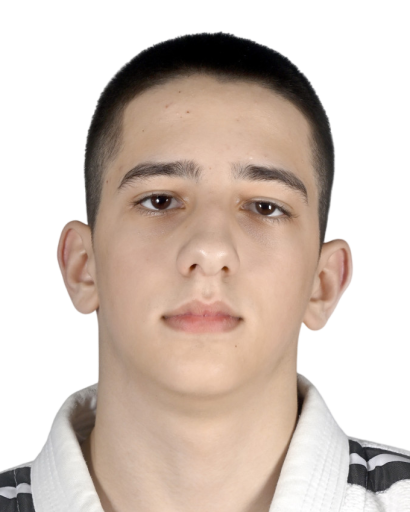 Светозар Милић