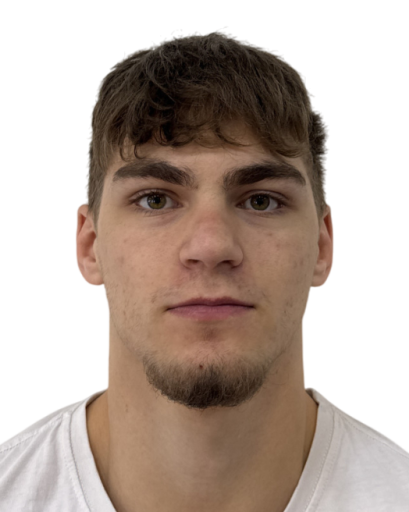 Павле Петровић