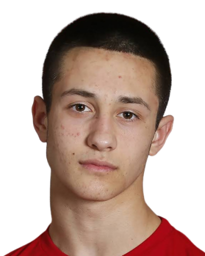 Стефан Радоичић Стефан Радоичић