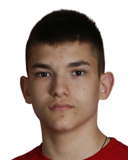 Никола Радовановић